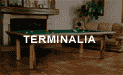 D�couvrez le billard Terminalia