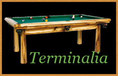 Mod�le de billard Terminalia